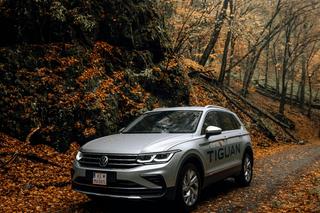   Tanie samochody z licytacji komorniczych w warmińsko-mazurskim. Sprawdź listę ofert!