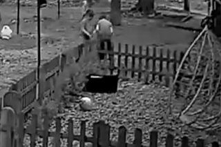 Dzieci znęcały się nad psem. Szybka reakcja mieszkańców sprawiła, że pies został odebrany rodzinie