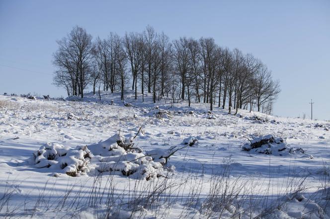 WIEM, GDZIE JEST TAJNE LABORATORIUM HITLERA.