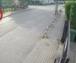 Wołomin. Napadł na seniorkę w biały dzień. 43-latek zatrzymany przez kryminalnych