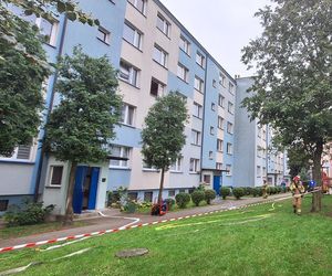 Bielsk Podlaski: Wybuch gazu na ul. Ogrodowej. Ewakuacja i akcja strażaków