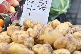 Truskawki po 8 zł, kalafior po 12 zł. Sprawdziliśmy ceny na stołecznych bazarach. Są zaskoczenia! 