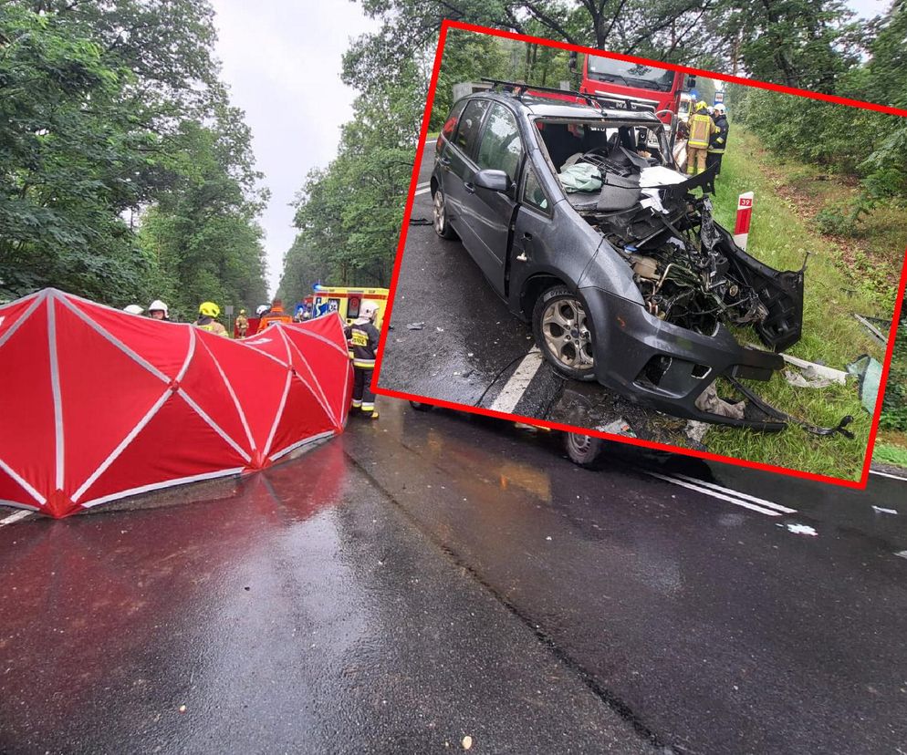 Śmiertelny wypadek na DK 69 pod Kępnem. Nie żyje dwóch kierowców 