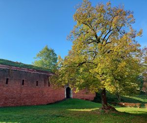 Zamojski Park jesienią