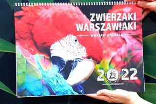 Zwierzaki Warszawiaki - kalendarz 2022. Gdzie kupić? Jak wygląda? 