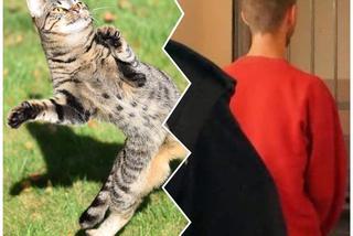 Czeladź: ZWYRODNIALEC dusił kota i rzucał nim o ścianę. Znęcał się też nad dziewczyną