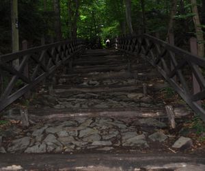 Świętokrzyski Park Narodowy