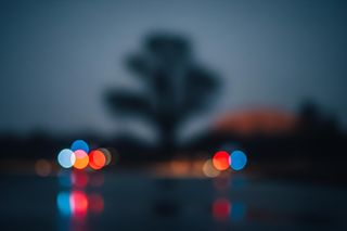 Myśliwy usłyszał zarzut zabójstwa w zamiarze ewentualnym