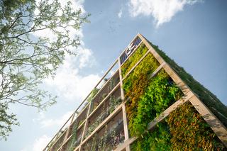 Nowa siedziba firmy CD Projekt - wizualizacje