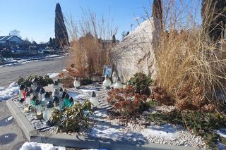 Grób Witolda Paszta