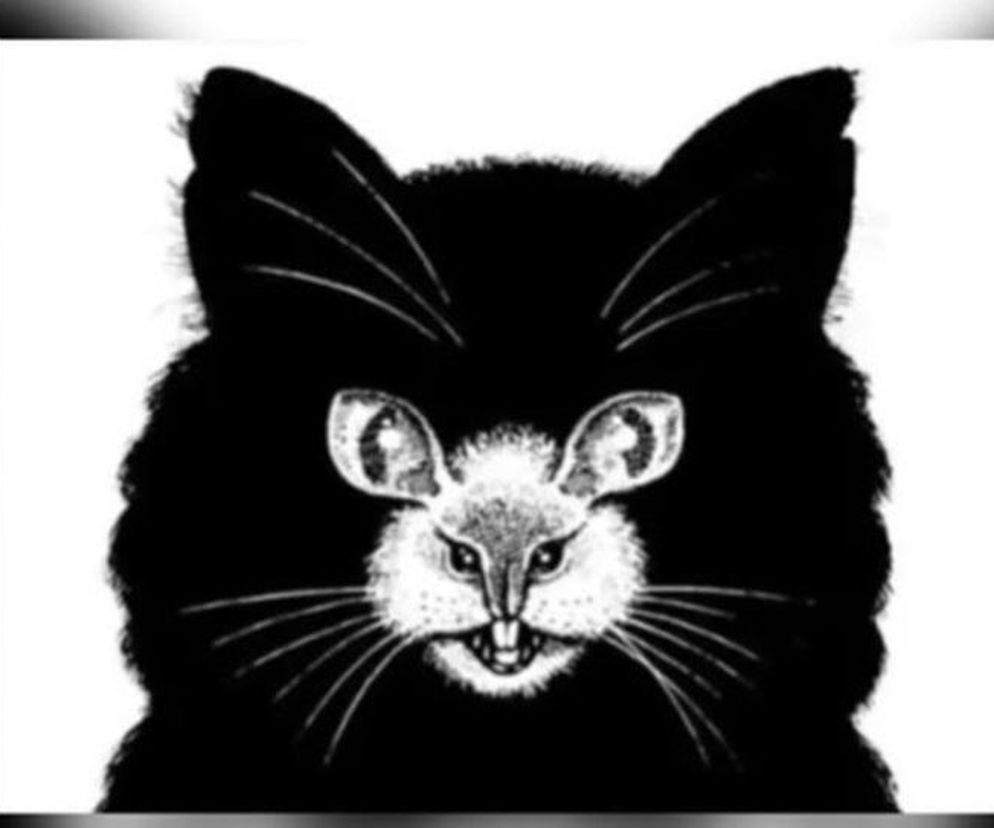 Czy jesteś lubiany? Ten test psychologiczny nie kłamie. Prawda kryje się na obrazku