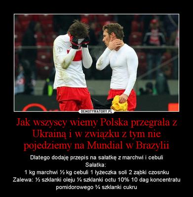 Ukraina - Polska 1:0, MEMY