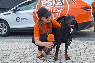 Eska Summer City w PKL Solina