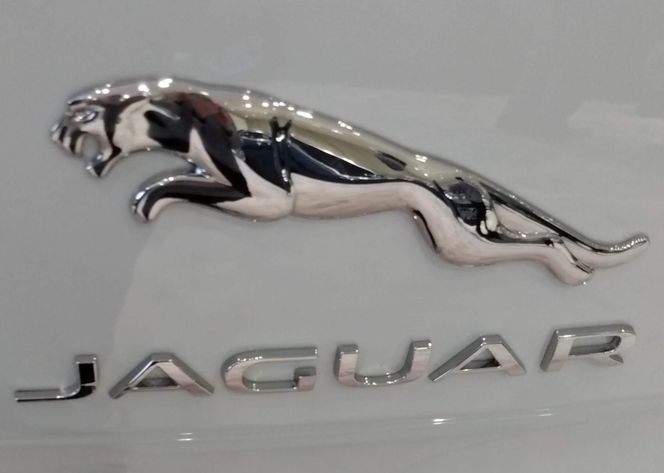 Stare logo Jaguara 