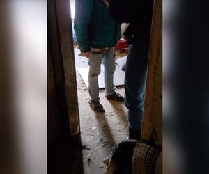 Psy w tragicznych warunkach