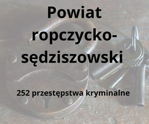 To tu na Podkarpaciu dochodzi do największej liczby przestępstw kryminalnych