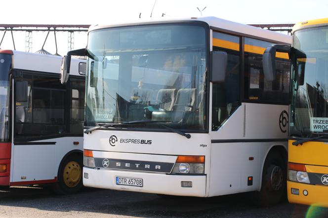 Nowe linie autobusowe uruchamia firma Ekspres Bus