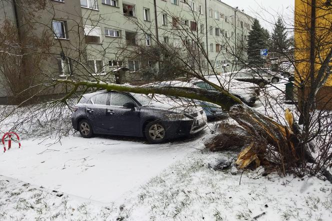  Potężne załamanie pogody w Polsce. Wichury sieją zniszczenie. Nadciąga do nas coś jeszcze
