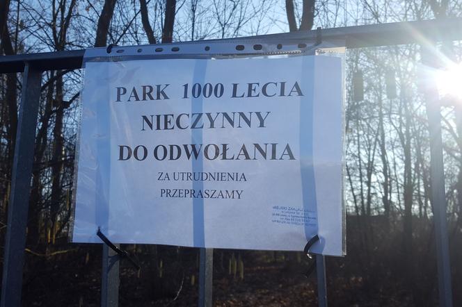 Ptasia grypa w Mini Zoo w Lesznie. Park 1000-lecia zamknięty do odwołania 