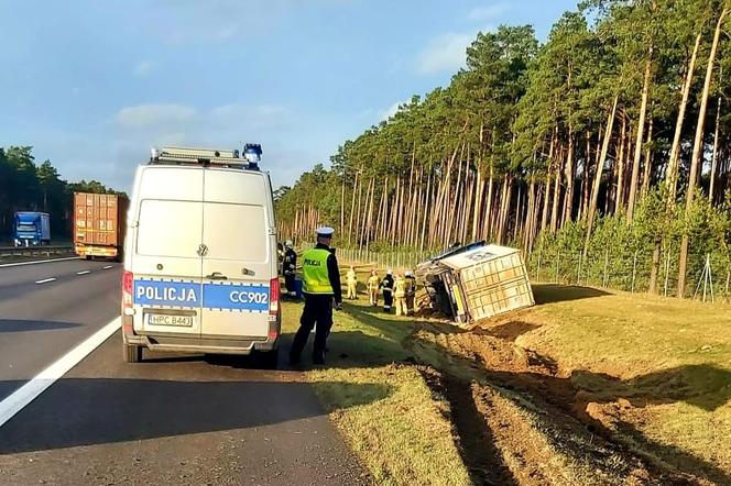 Kierowca ciężarówki nie opanował pojazdu, bo sięgał po napój. Fatalne skutki zdarzenia na A1 [ZDJĘCIA]