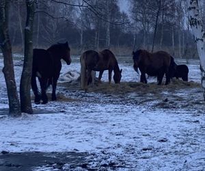 Atak zimy w Polsce. Zasypane miasta na Waszych zdjęciach