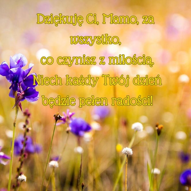 Dzień Matki