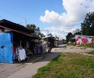 Zdemolowane rudery niemal w centrum Olsztyna. „Smród bywa podobno nie do zniesienia” [ZDJĘCIA]