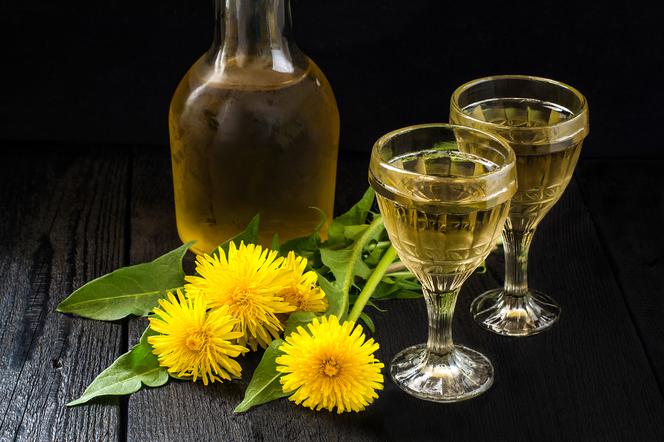 Wino z mniszka: przepis prosto z Anglii