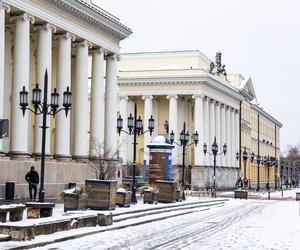 Nowe drzewa i krzewy na placu Bankowym w Warszawie, grudzień 2023 r.