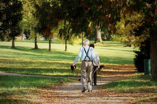 Nordic Walking jesienią? Temperatura pomoże w dziarskim chodzeniu. ;)