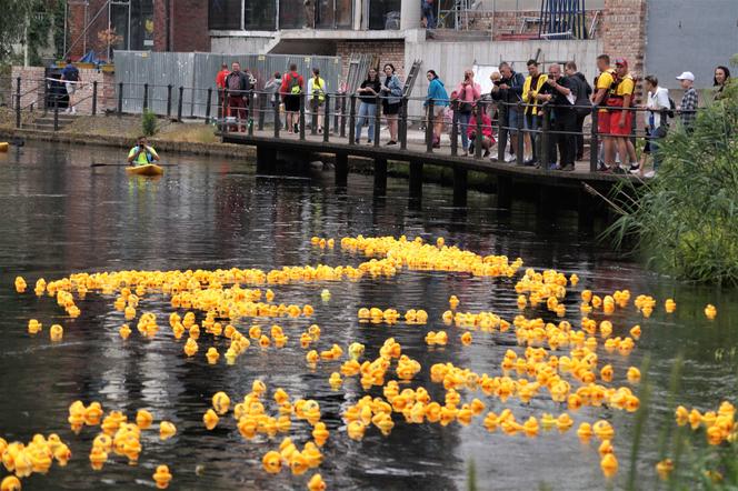 Ster na Bydgoszcz 2023. V Charytatywny Wyścig Kaczek Rotary [ZDJĘCIA]