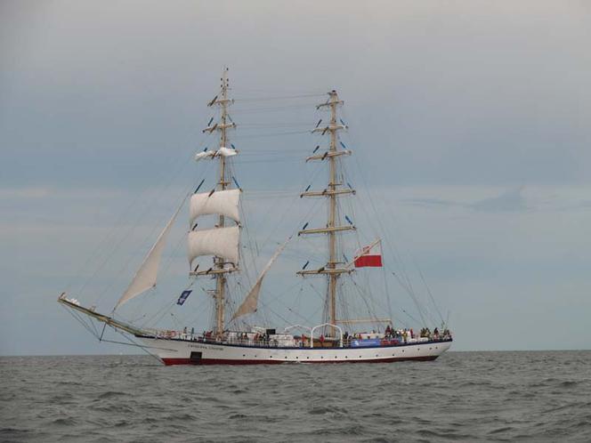 ParadaZagleGdyni2014_FotMZwierz_710399