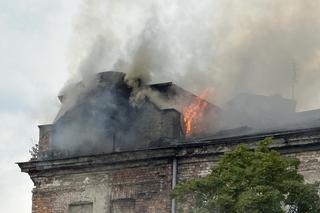 Wielki pożar na Pradze-Północ. Kłęby czarnego dymu nad Warszawą