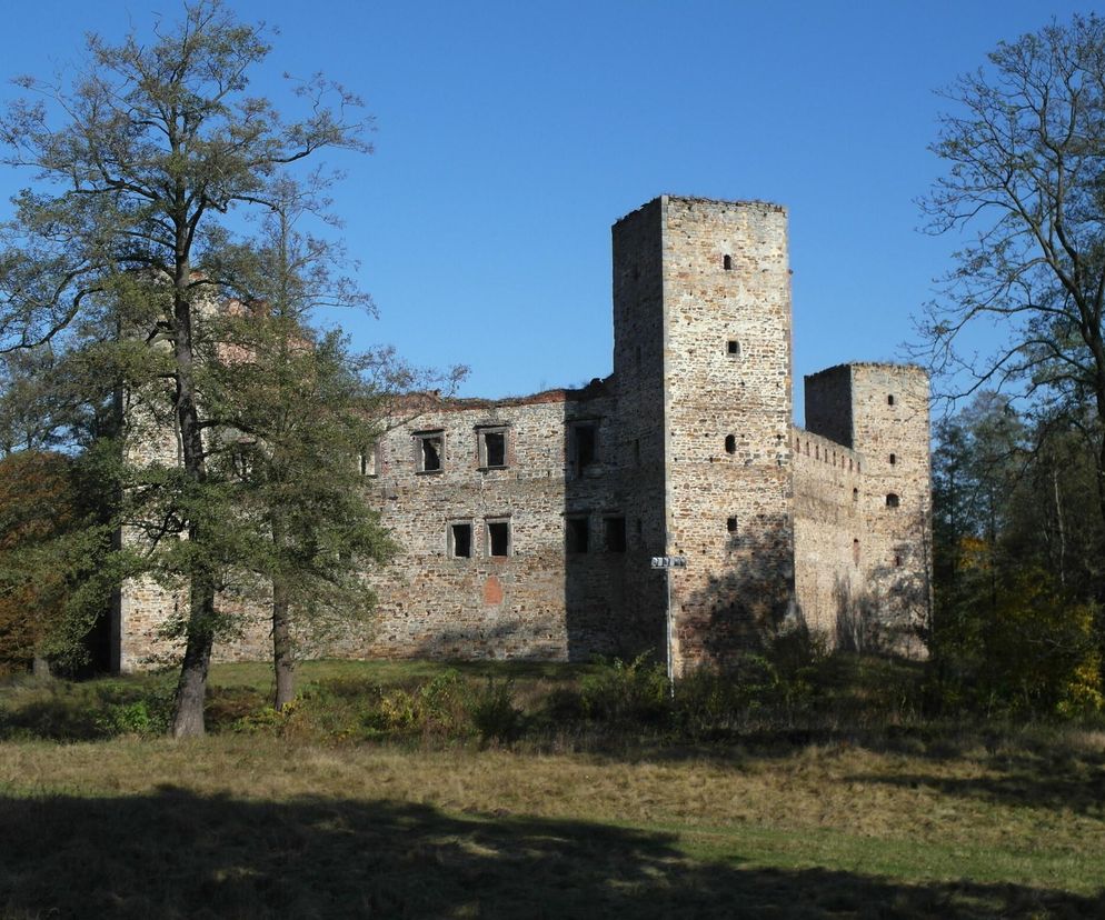Drzewica