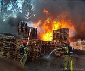 Łódź. Ogromny pożar ciężarówek i składowiska palet. Dramat na ul. Starorudzkiej [ZDJĘCIA].