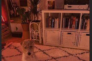 Iga Krefft (Ula z M jak miłość) na Instagramie pokazała mieszkanie