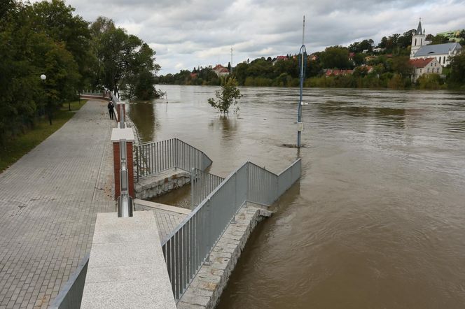 Fala kulminacyjna przepływa przez województwo lubuskie. Tak wygląda Krosno Odrzańskie