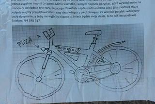 Rower – nicpoń zaginął
