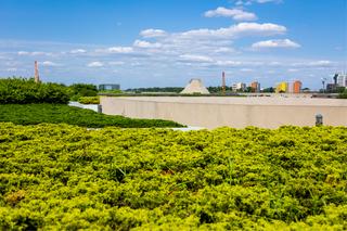 Ogród na dachu Centrum Nauki Kopernik