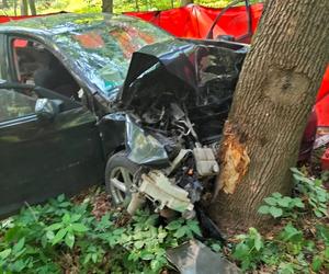 Osobówka wbiła się w drzewo w Białochowie! Nie żyje kierowca [ZDJĘCIA]