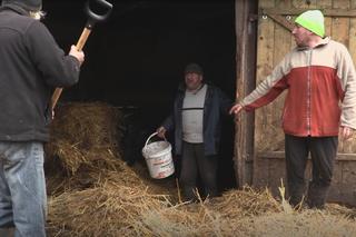 Rolnicy. Podlasie. Gienek i Andrzej karmią krowy. Sławek: Widać jaki tu porządek