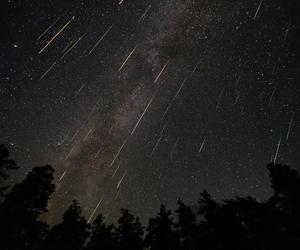 Deszcz Perseidów pojawi się nad Wrocławiem. Gdzie go oglądać?