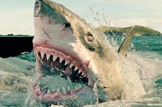 183 metry strachu (2016) 