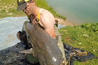 Na stawach w Starym Sączu złowił ogromnego suma