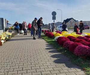 Zamościanie przygotowują się na dzień Wszystkich Świętych