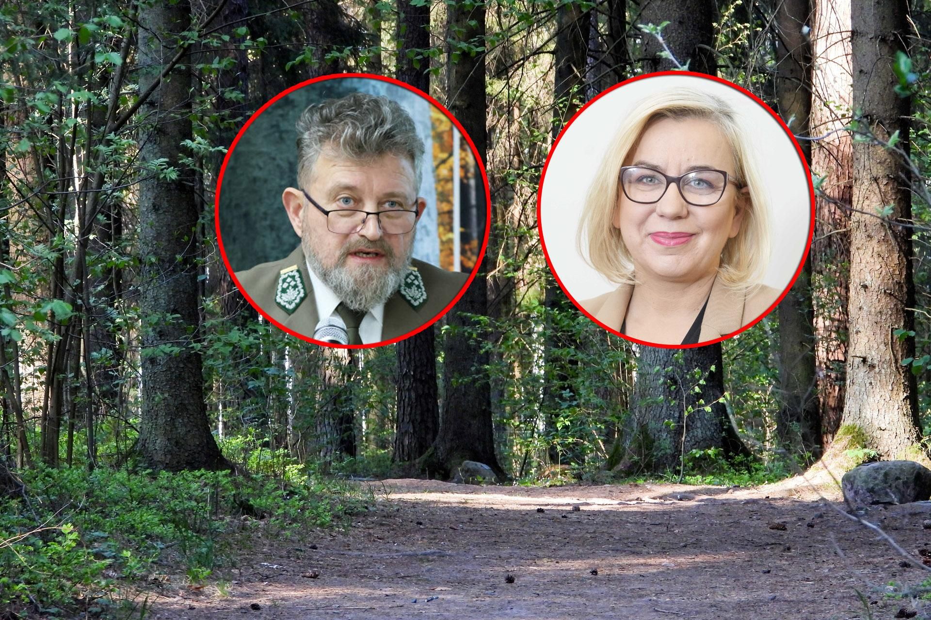Szef Lasów Państwowych odwołany! Minister Hennig-Kloska podjęła decyzję. Co się stał…
