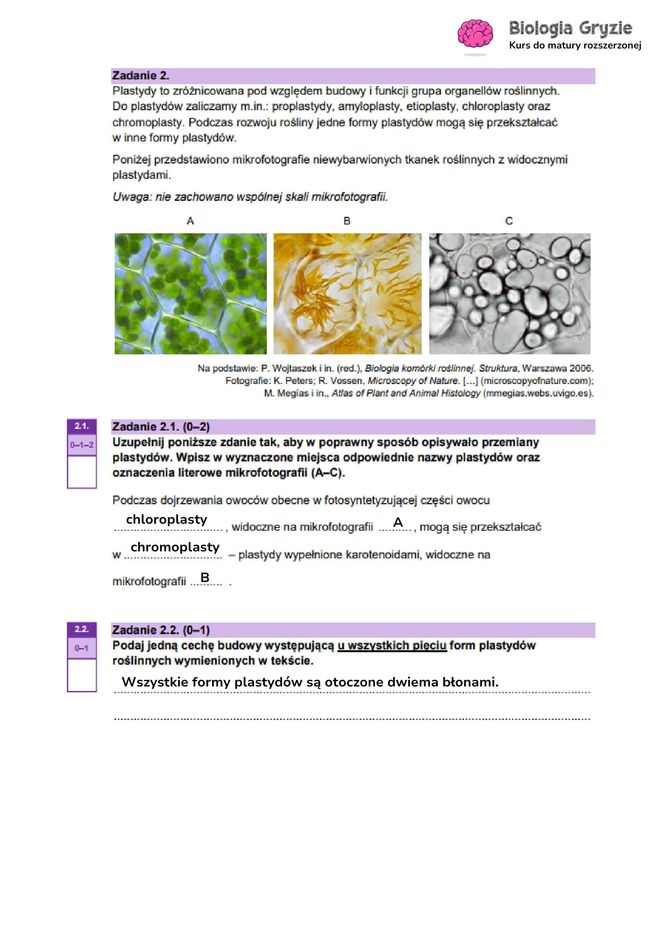 Matura biologia 2025 - odpowiedzi