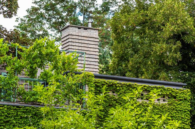 Willa Romualda Gutta na Kolonii Profesorskiej w Warszawie