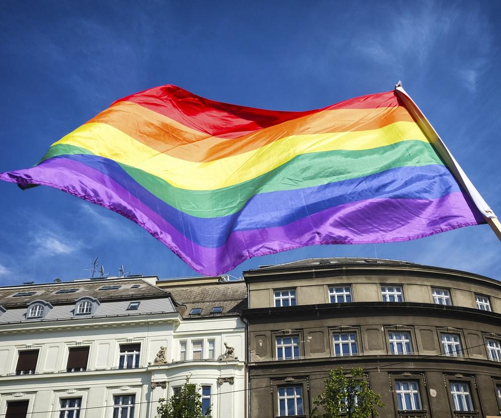 Sąd w Gdańsku skazał prezesa fundacji pro life. Ich furgonetki zniesławiły osoby LGBT