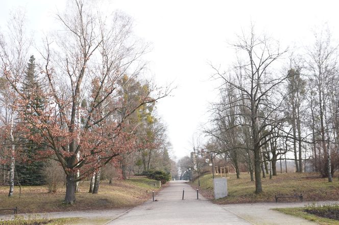 Przedwiośnie w Parku Cytadela